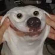 happy doggo