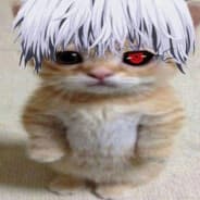 xDDDDD?