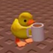 duck