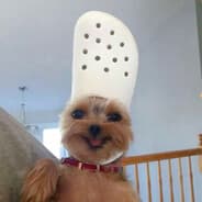 Hi!
