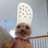 Hi!