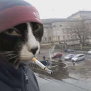 Zhmiktor