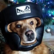 Bad выгувыгу