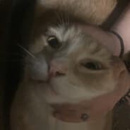 Nemo