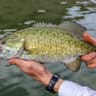 Fish Want Me, Women Fear Me