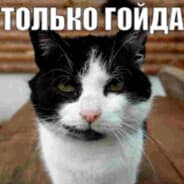 qlak