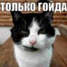 qlak