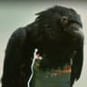 Brother Crow