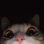 wtf ❤️