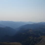 erlo