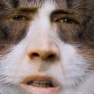 ayowut