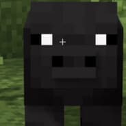 Pigga