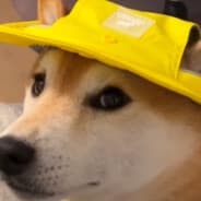 woof