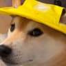 woof