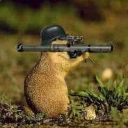 Dangel