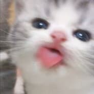 yiyibbo