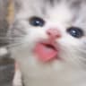 yiyibbo