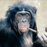 Lord Maconheiro