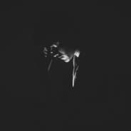 Darkness