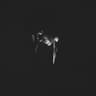 Darkness