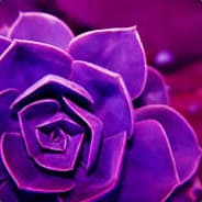 Dilyx