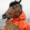 Horseman and Cat