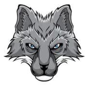USMC-SilverFox