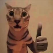 whiskas employee