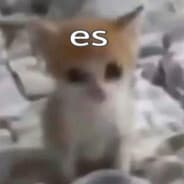 qwrqwrqwrqwrqwr