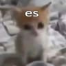 qwrqwrqwrqwrqwr