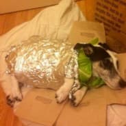 Burrito