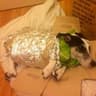 Burrito