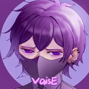 VaiseSound