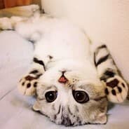 what's my name?