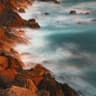 D­oyle Trading