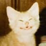 nyanko