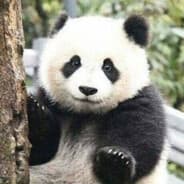 Jiggah