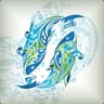 Aquachino