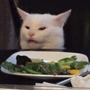 Parmesan Cat