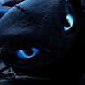 Night_Fury002