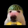 ONast