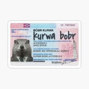 Bóbr