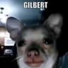 Gilbert