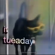 sponGE