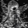 born from hell