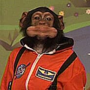 space monkey