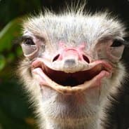 Herr Ostrich