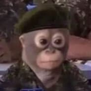 b0c