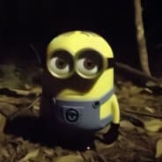MrFimoz