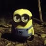 MrFimoz
